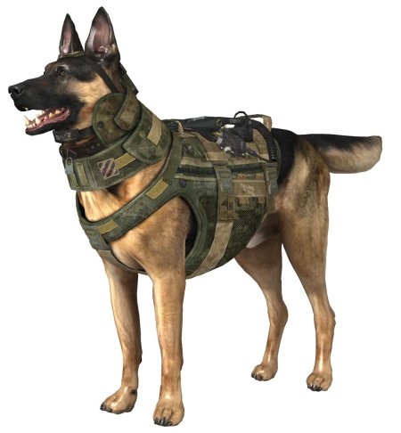 Call of duty немецкая овчарка