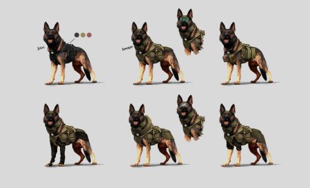 Немецкая овчарка военная