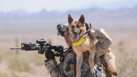 Малинуа спецназ израиля