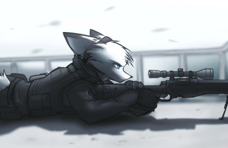 Арктик фокс арт фурри