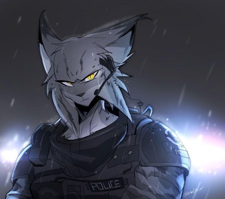 Фурри милитари