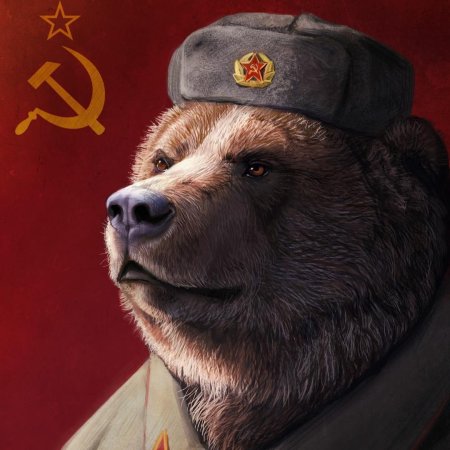 Медведь русский