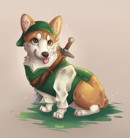 Корги собака