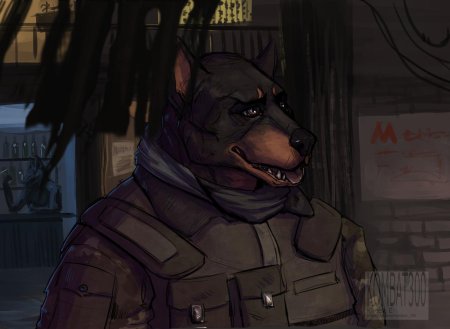 Доберман наемник сталкер