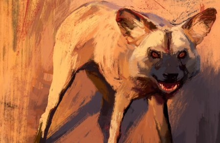 Табаки шакал