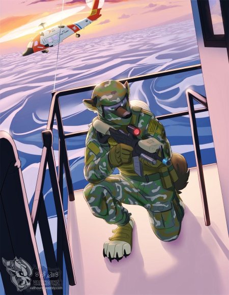 Фурри милитари