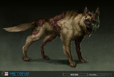 Псевдособака сталкер