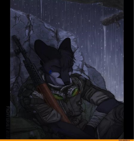 Фурри сталкер монолит