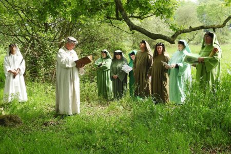 Священное дерево друидов