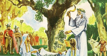 Священное дерево друидов