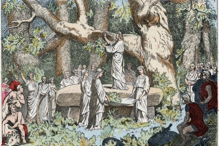 Кельтские друиды капища