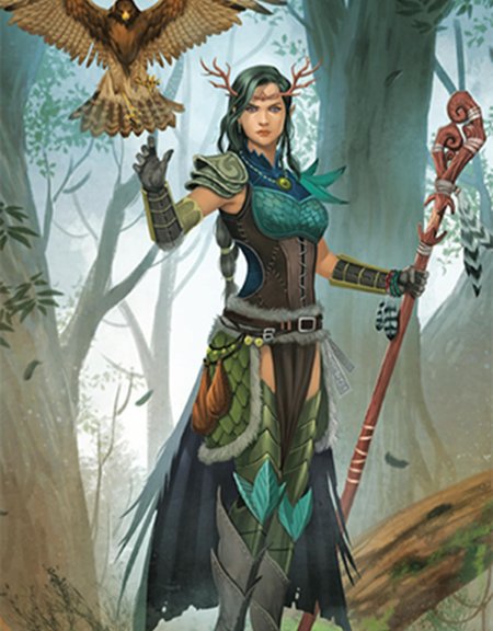 Эльф друид днд