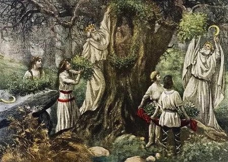 Друиды кельты дуб