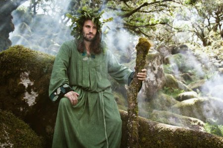 Друид и лес