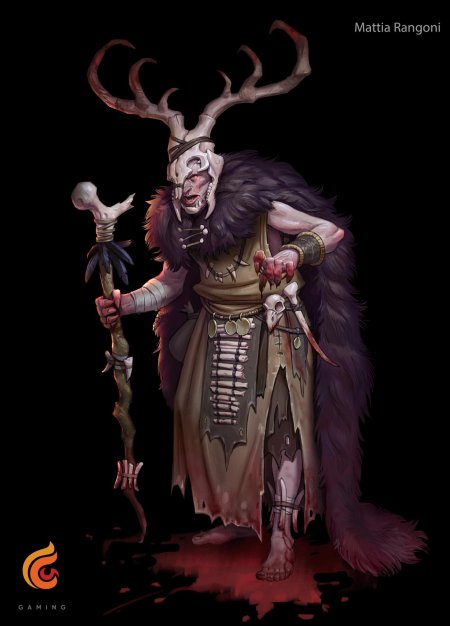 Днд шаман арт