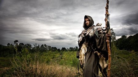 Друиды кельтов