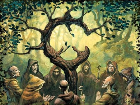 Друиды кельтов