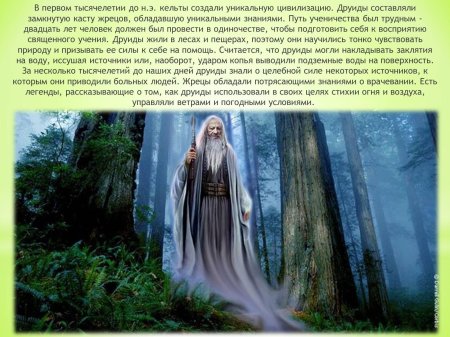 Кельтские жрецы друиды