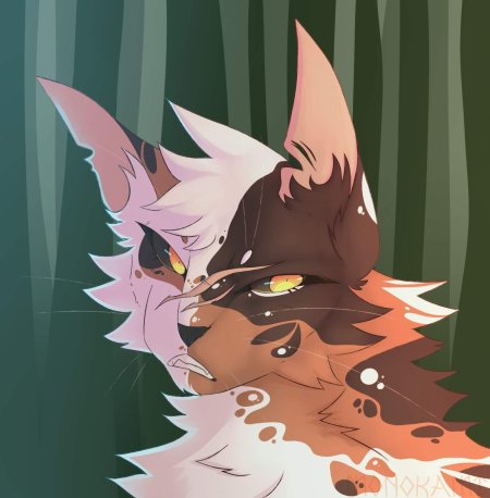 Кленовница арты