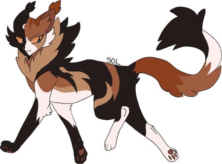 Сол коты воители