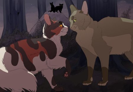 Коты воители кленовница и яблочник