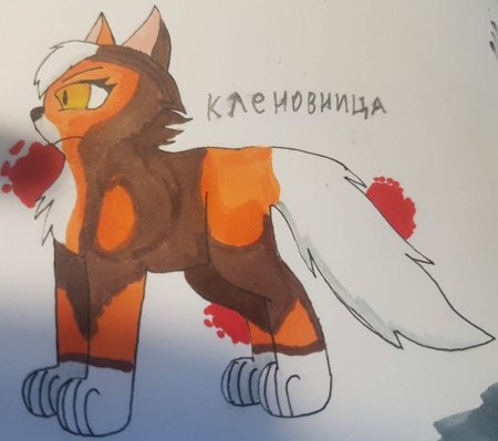 Коты воители ярохвоста