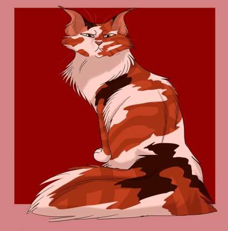 Коты воители ярохвост