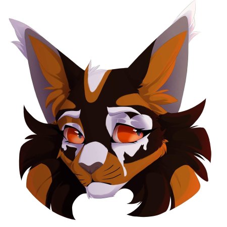 Кот воителикленовница