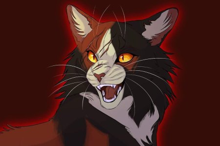 Коты воители кленовница