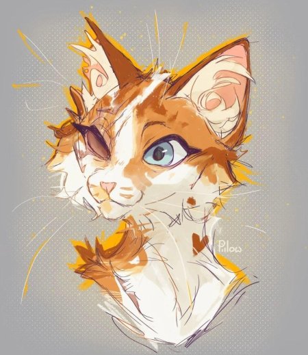 Яролика коты