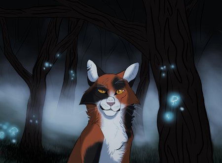 Коты воители кленовница