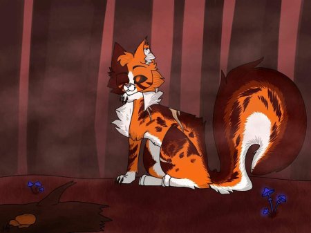 Коты воители кленовница