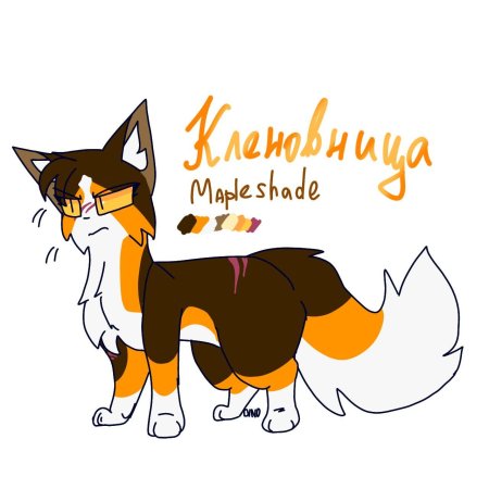 Коты воители кленовница