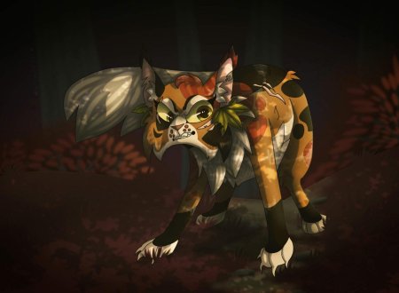 Коты воители кленовница