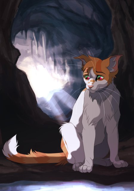 Воители коты