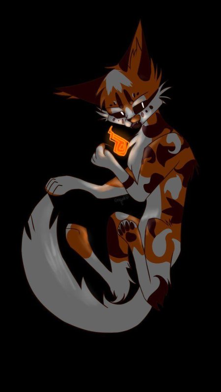 Кленовница коты воители арт