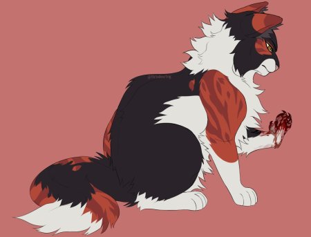 Кленовница коты воители