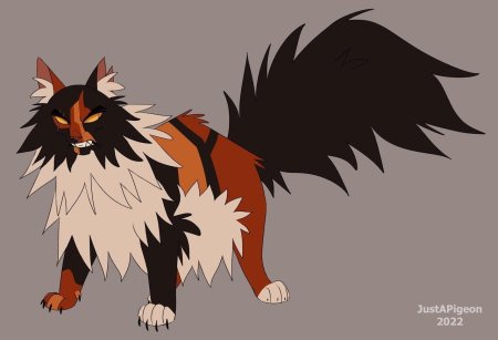 Коты воители кленовница