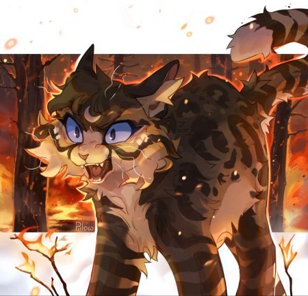 Коты воители graypillow