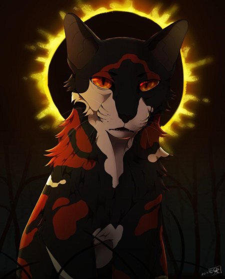 Сол коты воители