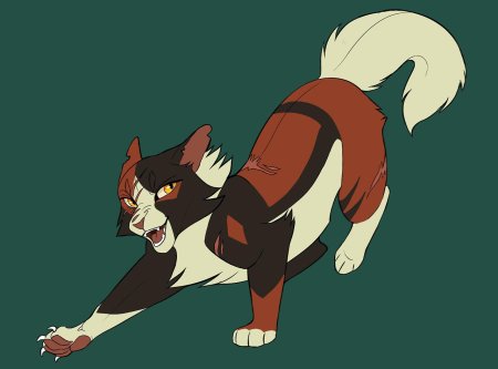 Коты воители кленовница