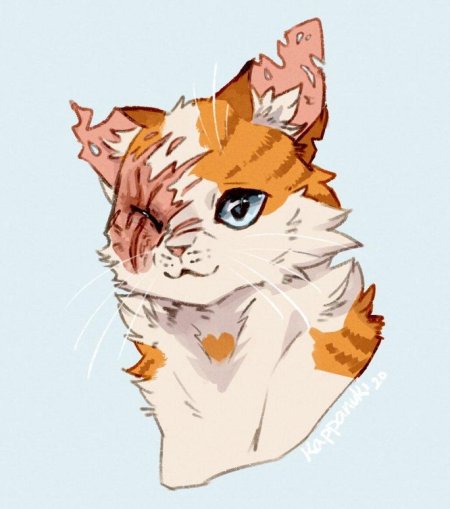 Яролика коты воители