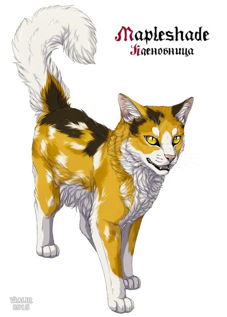 Коты воители виалир