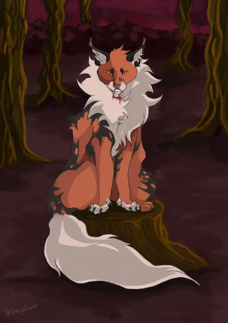 Коты воители кленовница