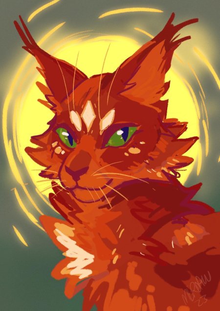 Коты воители звездоцап