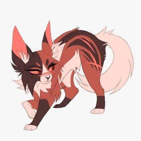 Кленовница коты воители арт