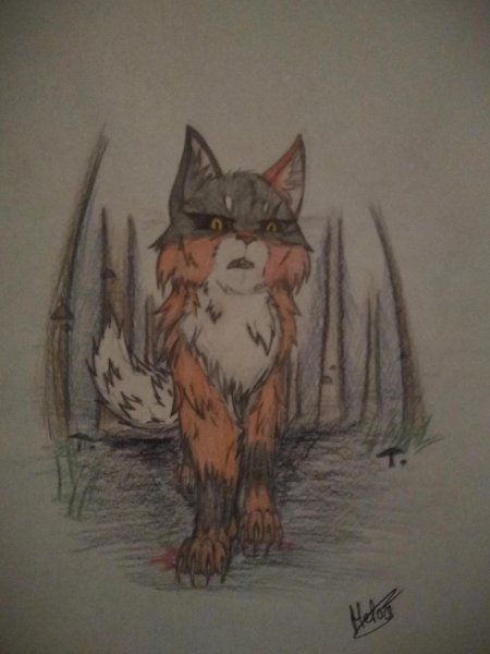 Коты воители книга месть кленовницы