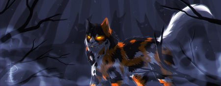 Коты воители кленовница