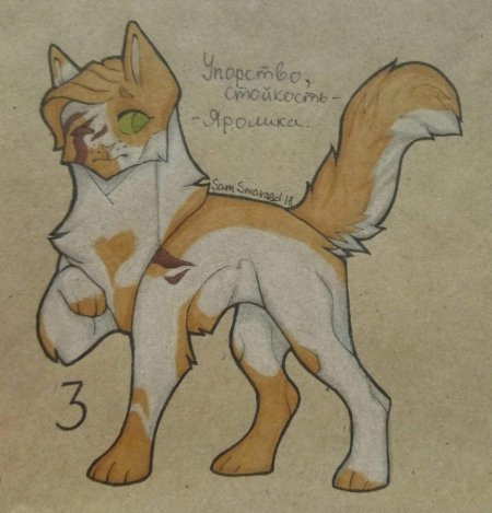 Рисунки котов воителей для срисовки