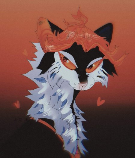 Коты воители кленовница арты